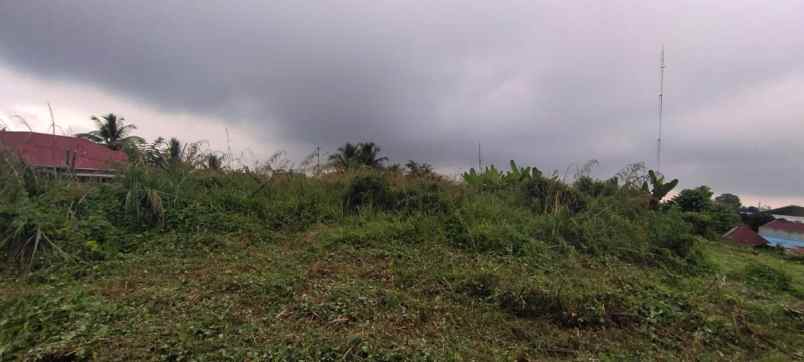 disewakan tanah jalan platon pematang