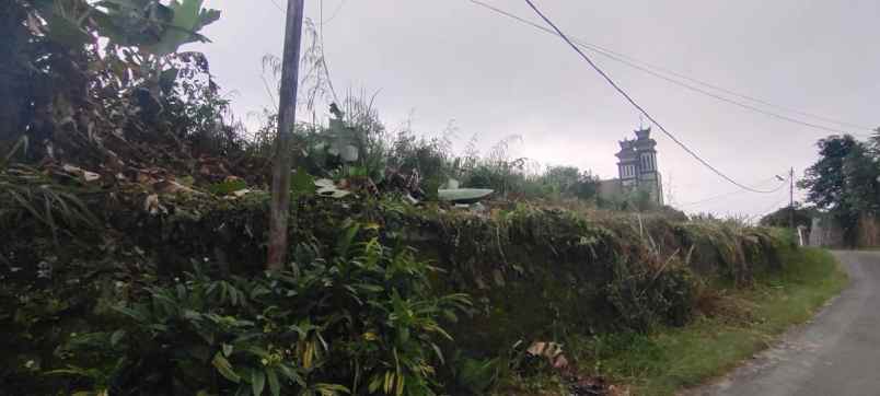 disewakan tanah jalan platon pematang