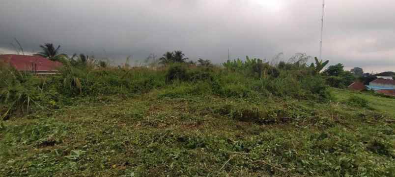 disewakan tanah jalan platon pematang