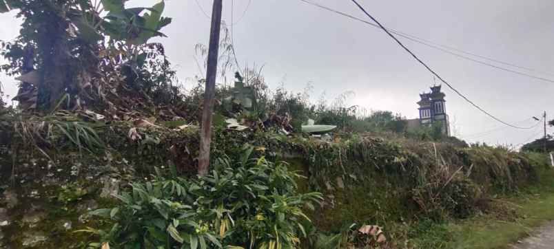 disewakan tanah jalan platon pematang