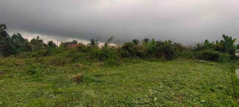 disewakan tanah jalan platon pematang