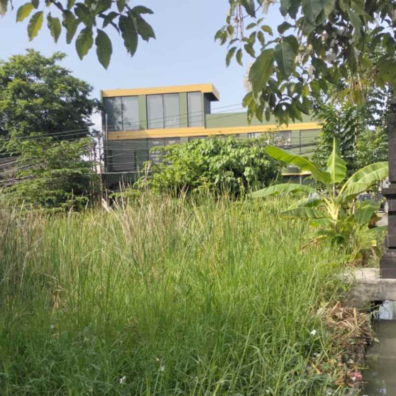 disewakan tanah padang linjong canggu