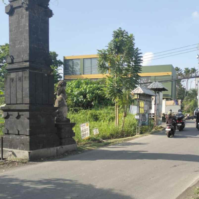disewakan tanah padang linjong canggu