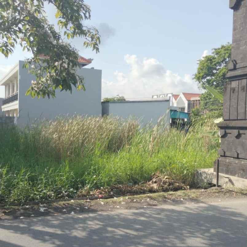 disewakan tanah padang linjong canggu