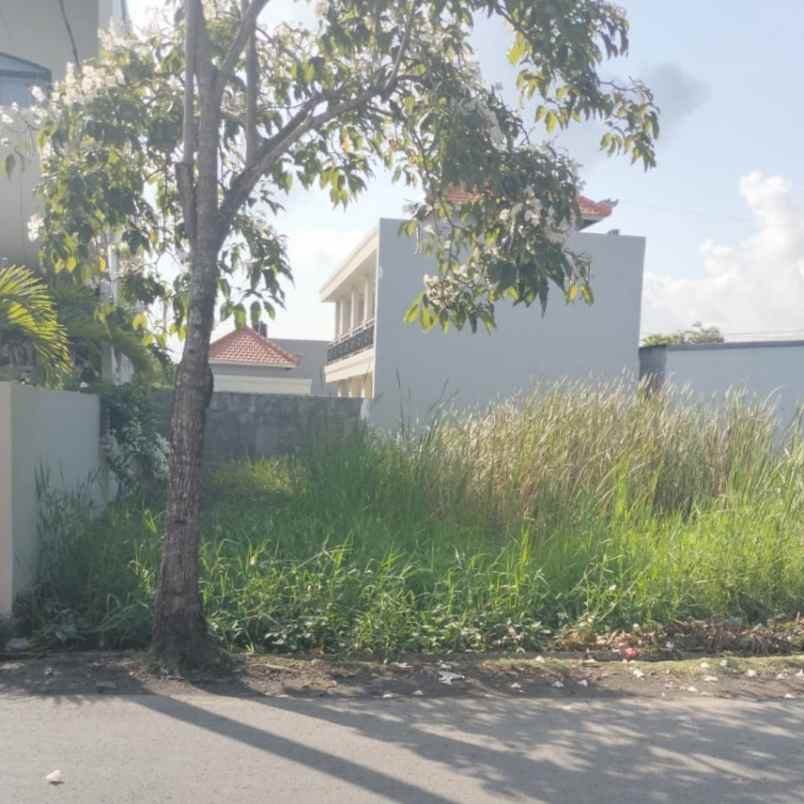 disewakan tanah padang linjong canggu