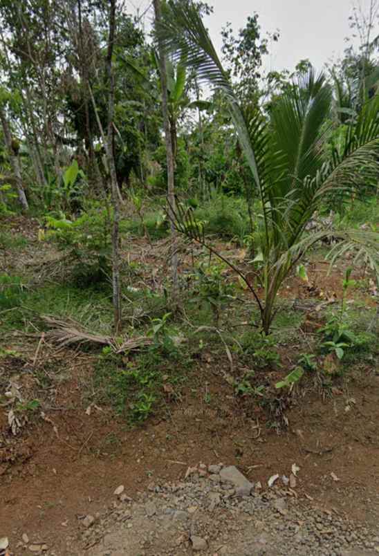 jual tanah di kampung depan jalan