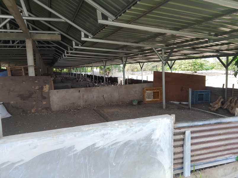 jual tanah garuda sakti km 8 surat shm dan skgr