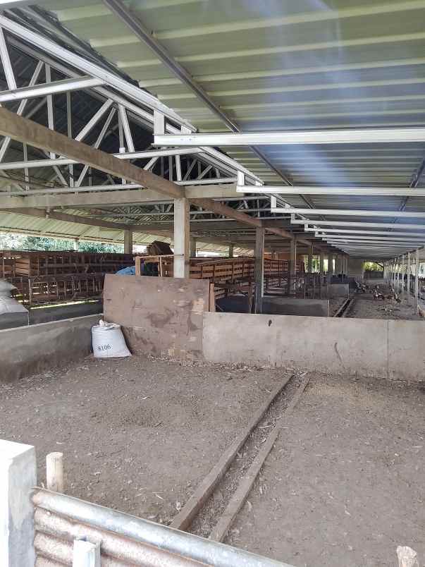 jual tanah garuda sakti km 8 surat shm dan skgr