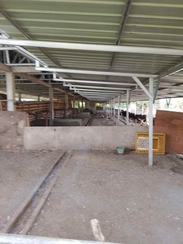 jual tanah garuda sakti km 8 surat shm dan skgr