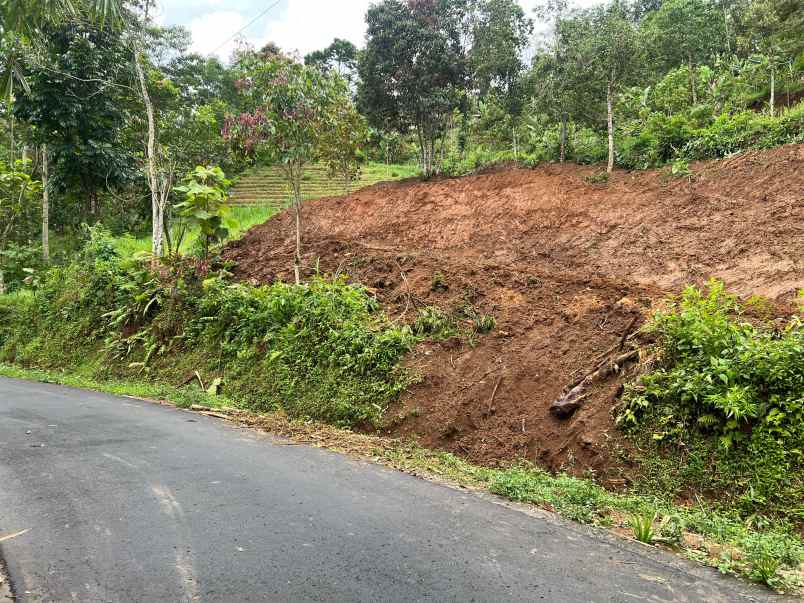 kebun alpukat 1200m jalan dpu ngargoyoso