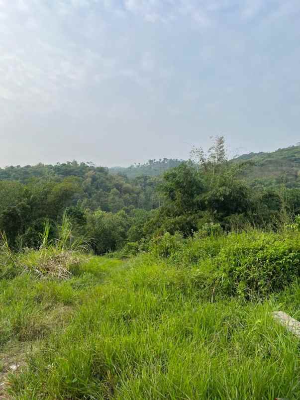 lahan 20 hektare shm potensi wisata perkebunan