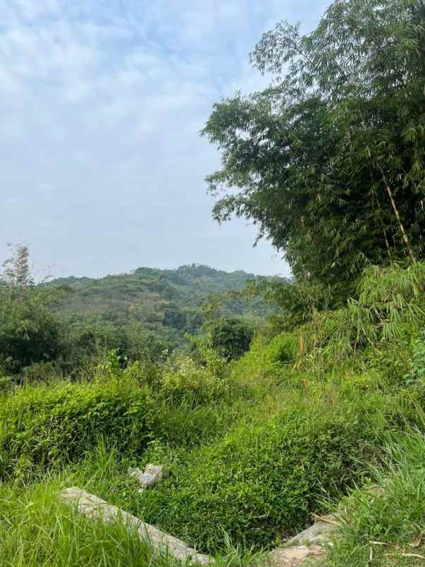 lahan 20 hektare shm potensi wisata perkebunan