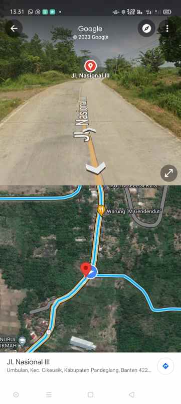 lahan kebun sawit baru 2 tahun