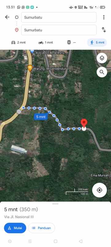 lahan kebun sawit baru 2 tahun