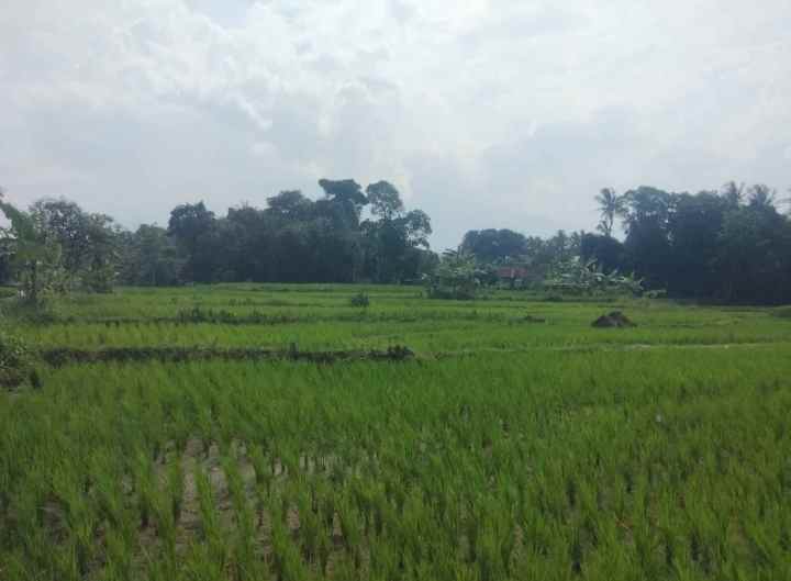 lokasi view gunung di rando bawa mandirancan kuningan