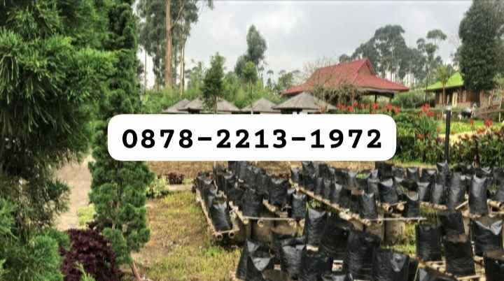 murah hitung tanah hotel di kawasa wisata ciwidey