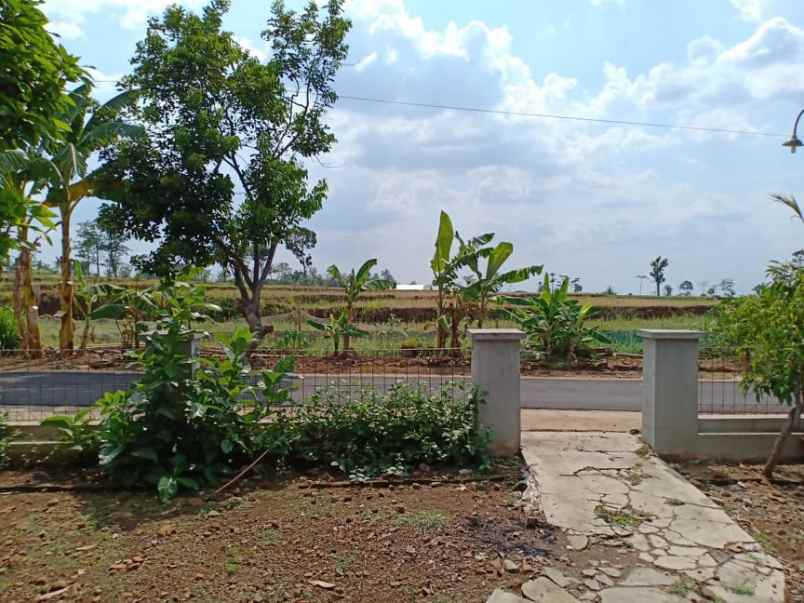 rumah kedawung sragen