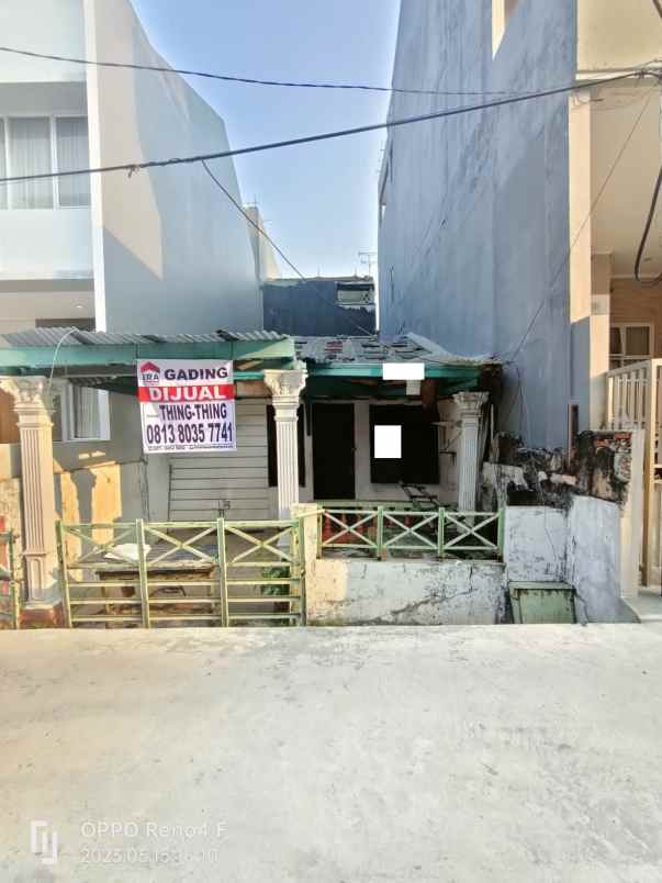 rumah kelapa hibrida kelapa gading