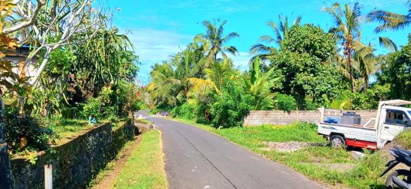 rumah leasehold di selemadeg tabanan bali