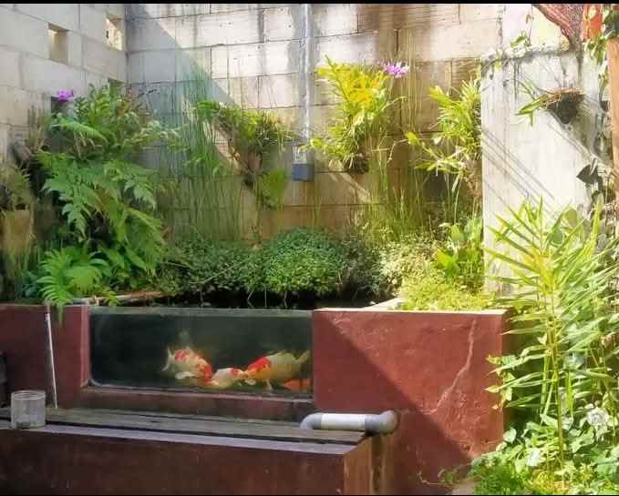 rumah mangunsari gunungpati semarang