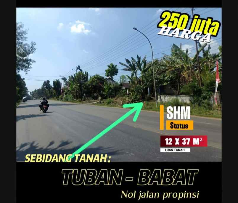 sebidang tanah shm nol propinsi