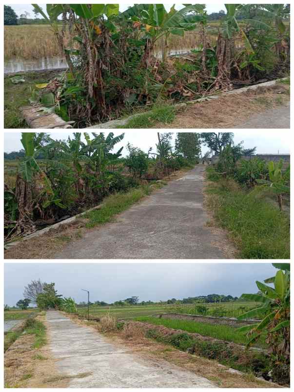 tanag 3400m2 muka 24 m polanharjo klaten 610jt