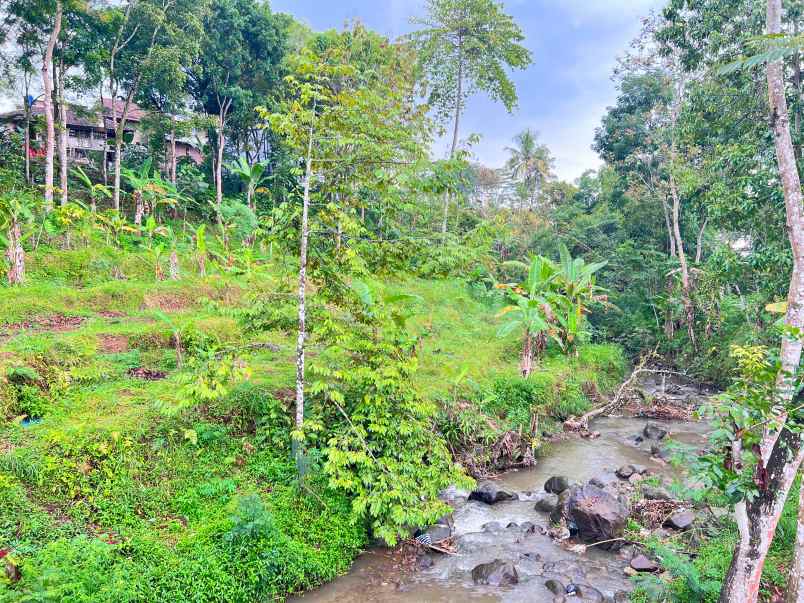 tanah 1690m dekat aliran sungai ngargoyoso
