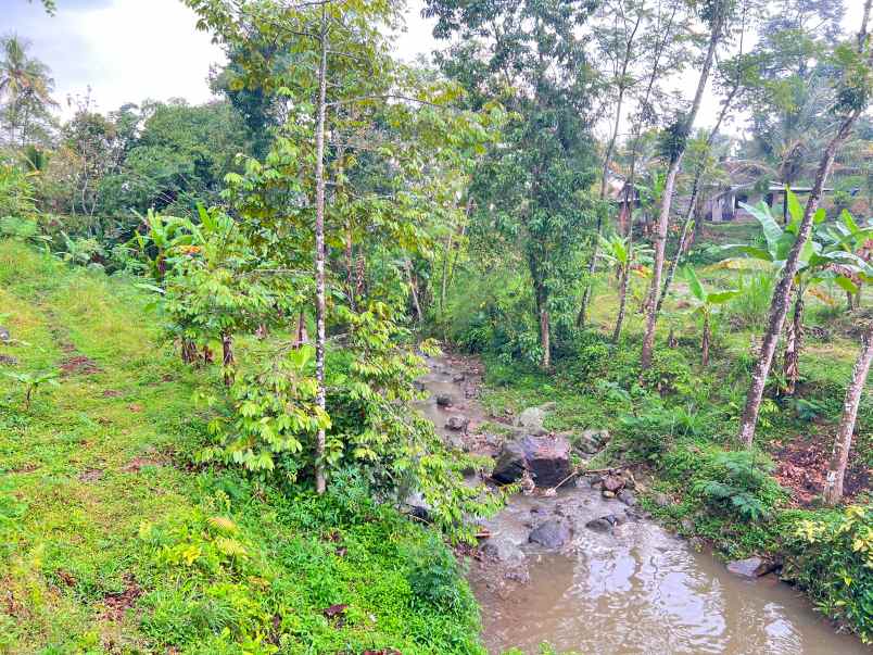 tanah 1690m dekat aliran sungai ngargoyoso