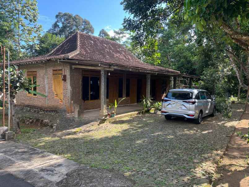 tanah 1700m bonus rumah limasan mojogedang