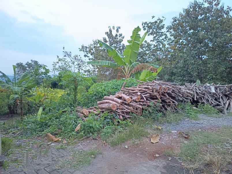 tanah bulusan tembalang semarang