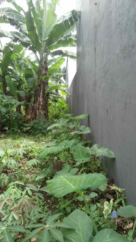 tanah dago asri cisitu