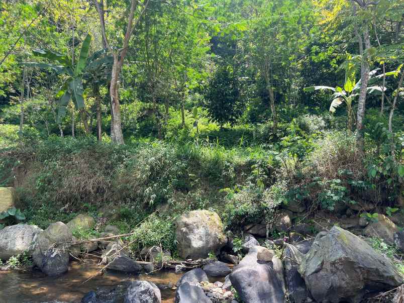tanah dekat sungai 3929m utara jembatan kaca kemuning