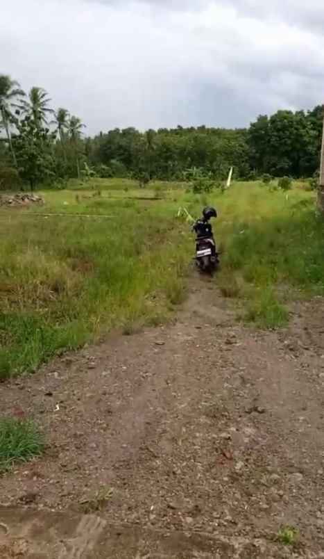 tanah di kogop natar lampung selatan
