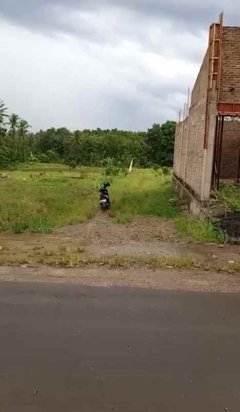 tanah di kogop natar lampung selatan