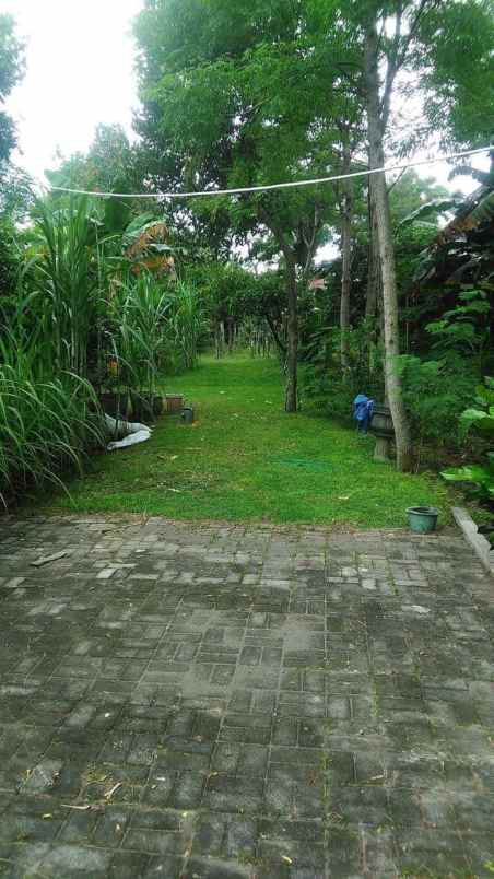 tanah dijual dekat pusat kota sleman