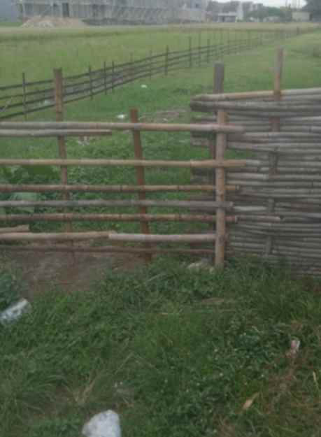 tanah dua muka sangat presisi depan belakang jalan