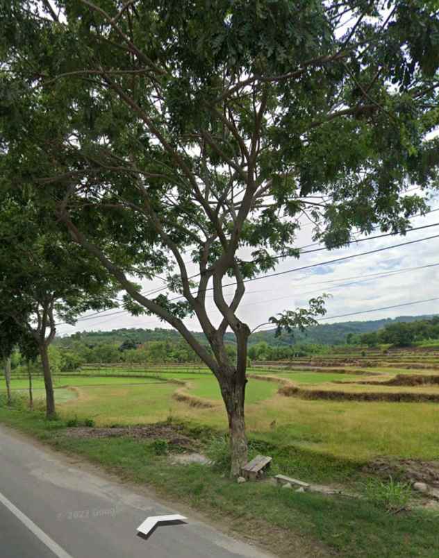 tanah industri pantura rembang jawa tengah