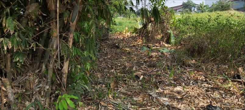 tanah jl raya cukanggalih