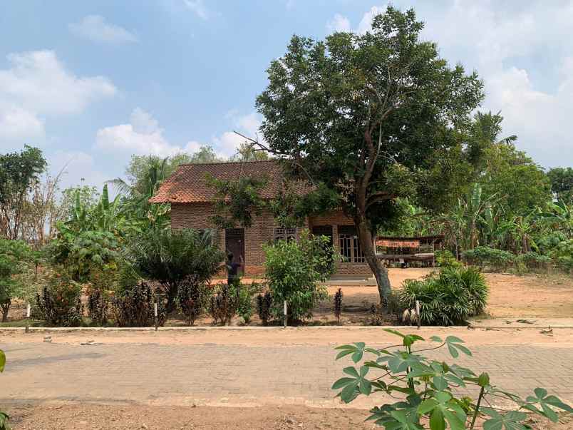 tanah kavling rumah lampung kota baru shm