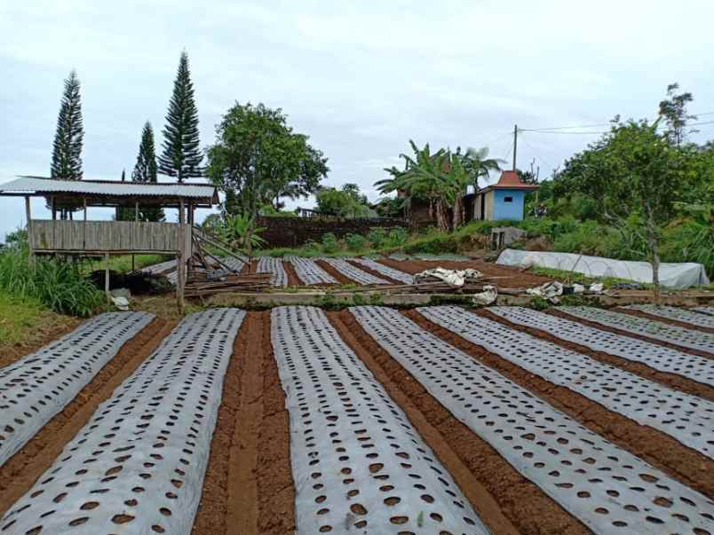 tanah kawasan wisata alam