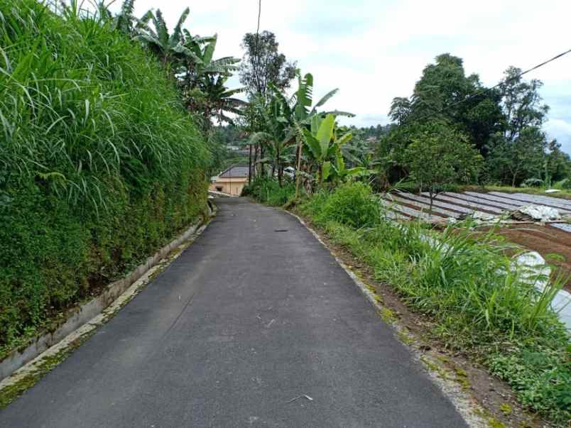 tanah kawasan wisata alam