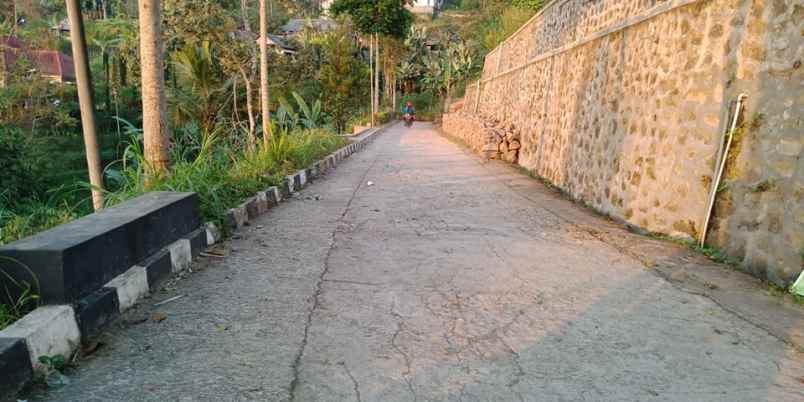 tanah kemuning ngargoyoso