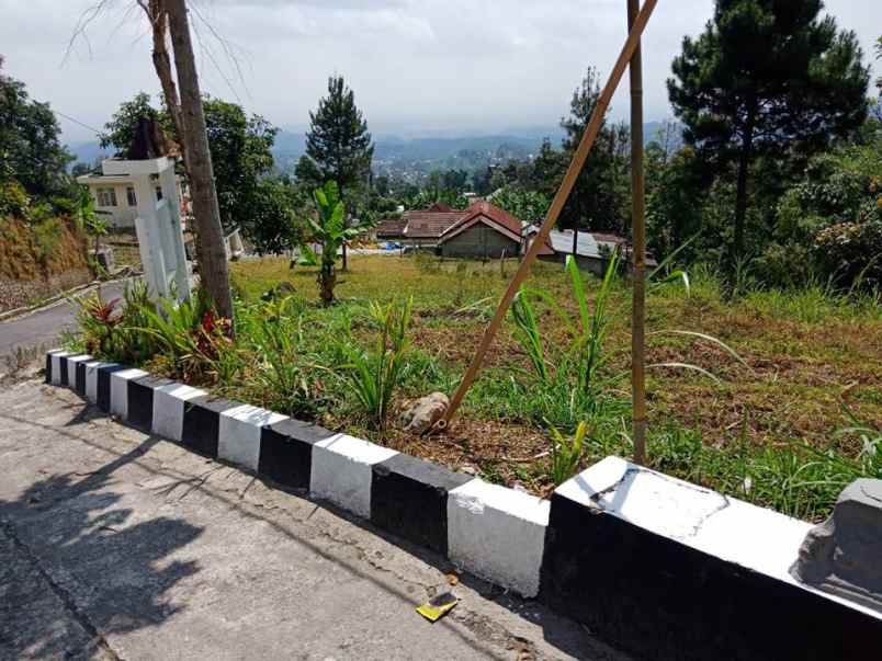 tanah kemuning ngargoyoso