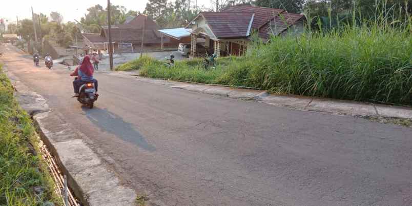 tanah kemuning ngargoyoso