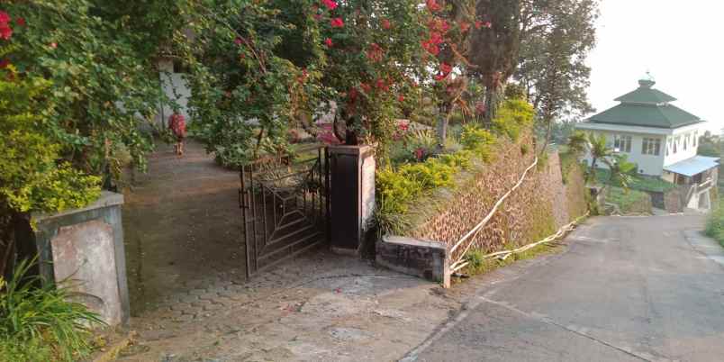 tanah kemuning ngargoyoso