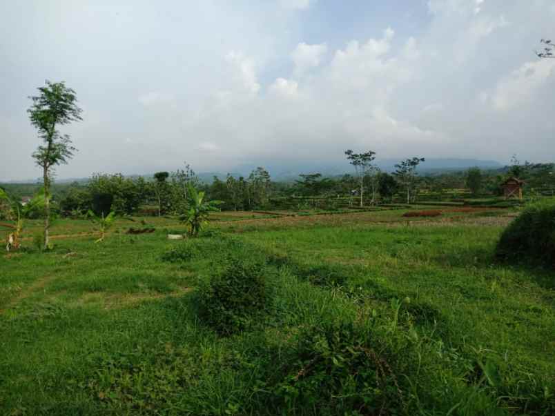 tanah kerjo karanganyar