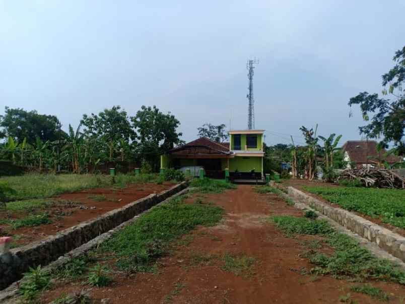 tanah kerjo karanganyar