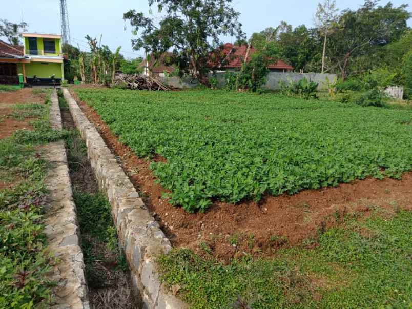 tanah kerjo karanganyar