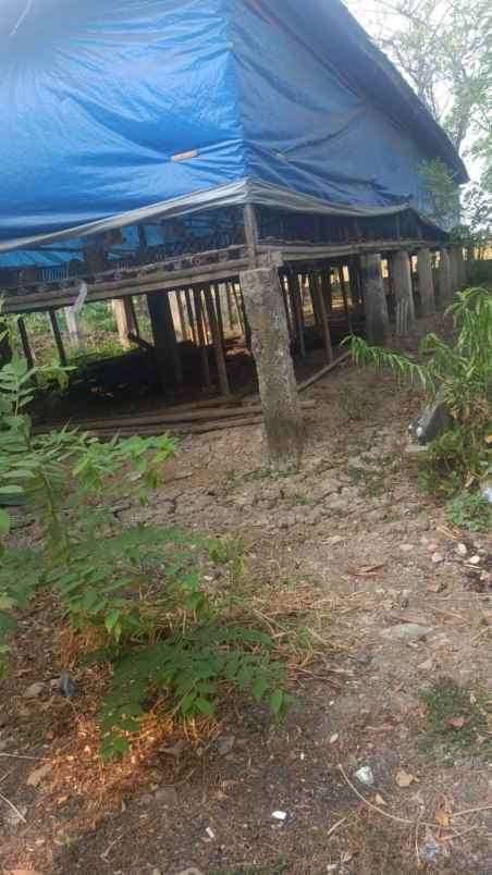 tanah kosong sudah ada bangunan ex ternak ayam