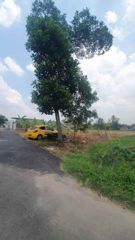 tanah murah bandar lampung